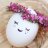 BeTa EGG