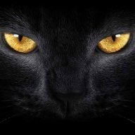 Black Panther